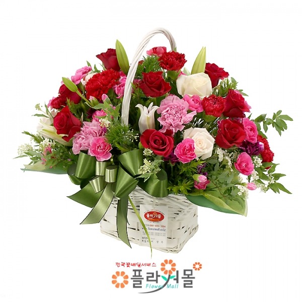 상세이미지